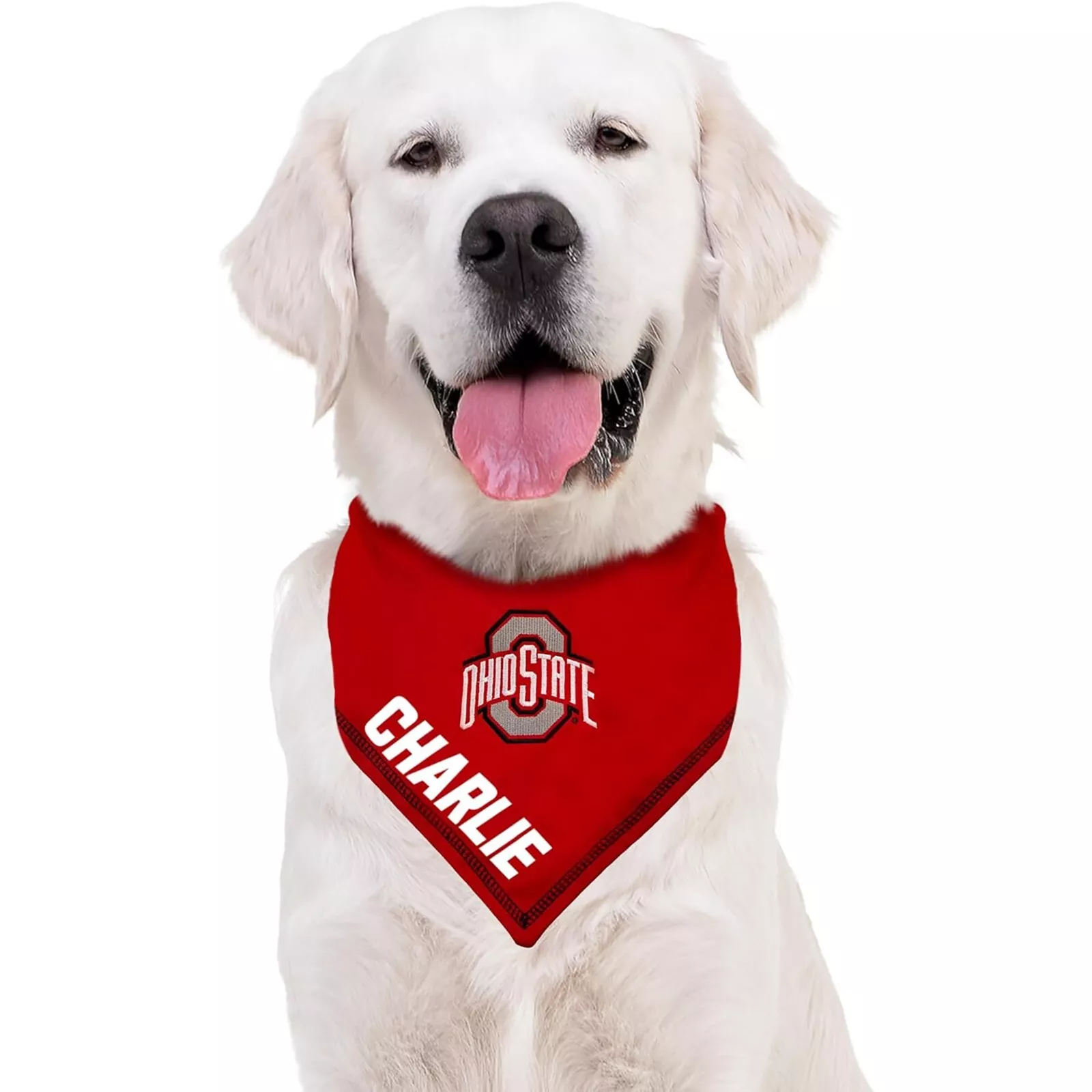 Pets First NCAA Personalized Tie Bandana for Dogs & Cats Sporty Dog Bandana