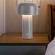 thumbnail image 1 of Lámpara Mushroom Lámpara de mesa Recargable Dormitorio USB Escritorio Touch Night Light (Gris) Ndcxsfigh Nuevos Originales, 1 of 6