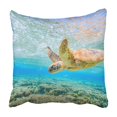 thumbnail image 1 of BSDHOME turtle on Lady Elliot Island Pillowcase Throw Pillow Cover Case 20x20 inches, 1 of 2