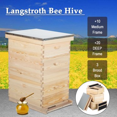 30-Frame Langstroth Hive Frame/Bee Hive Frame/Beehive Frames w/ Metal ...