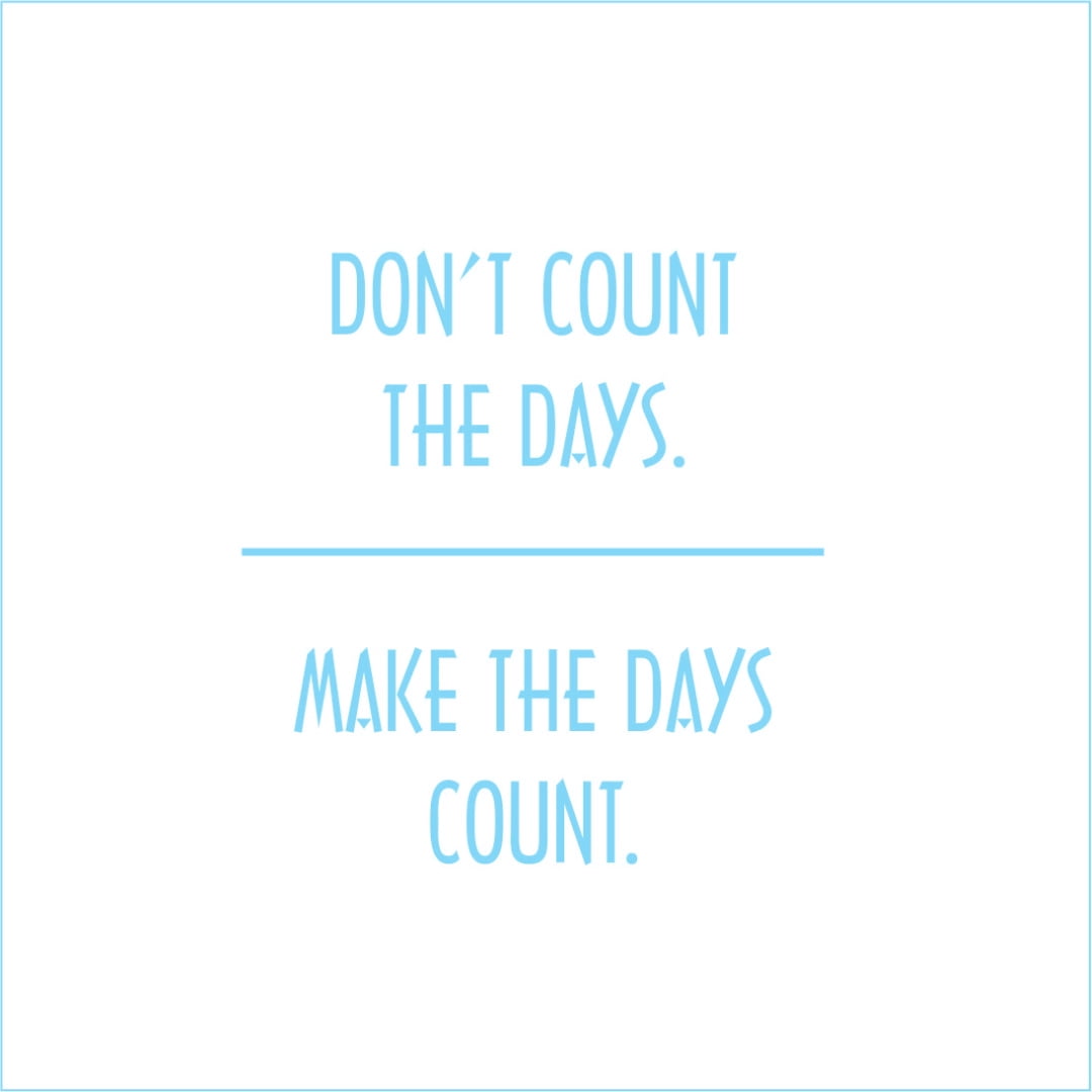 Don't Count the Days, Make the Days Count Vinyl Quote Small Ice