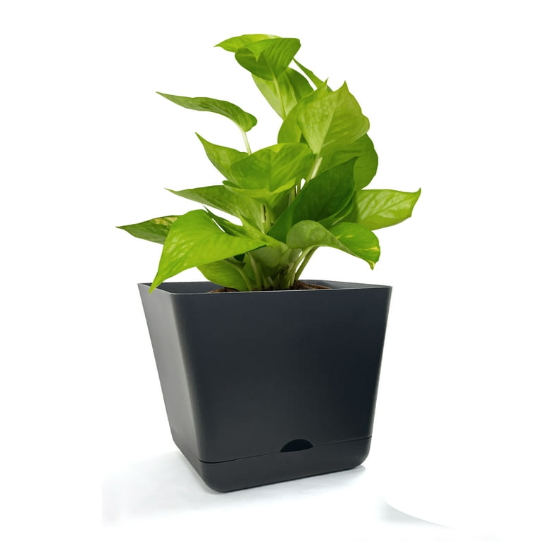 (2 pack) Mainstays Self-Watering 9in Black Square Planter