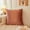 Champagne, variant on CSCHome Square Throw Pillows Velvet Soft Decorative Pillow 16x16inch Full and Fluffy, Cozy and Comfortable for Sofa Couch Bed