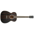 thumbnail image 2 of Washburn Deep Forest Ebony FE Acoustic-Electric Guitar Natural Matte, 2 of 9