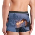 thumbnail image 4 of KLL Winter Fire Dragon Men's Cotton Boxer Briefs Underwear-Medium, 4 of 7