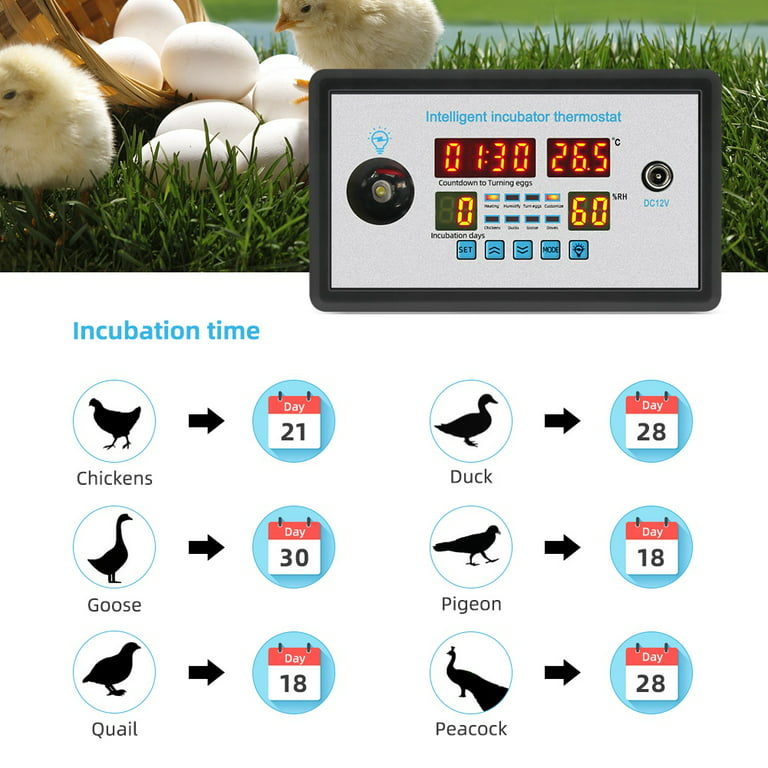 ZFX-B1308 Temperature Alarm Thermostat Machine Room Farm Oven