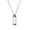 SSN 00301, variant on Cremation Urn Pendant Necklace Adjustable Chain Pet Memorial Keepsakes Locket