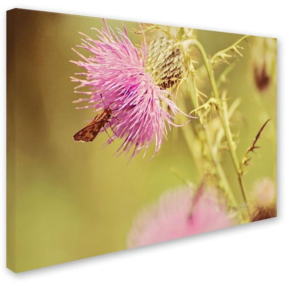 Trademark Fine Art "Skipper On Pink Thistle" Canvas Art by Lois Bryan