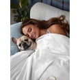 thumbnail image 3 of Spring Floral Flat Sheets Only Twin XL Size, Soft Breathable Bed Top Sheets for Mattress, Summer Birds Botanical Fence Luxury Bedding Flat Sheets for Home Hotel Bedroom Bed Protection, 3 of 9