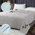 thumbnail image 6 of AZXY Chinese Mugwort Summer Quilt, Queen Size Lightweight Air Conditioner Quilt, Breathable Insect Repellent Bedspread for Bedroom Travel Use, 6 of 7