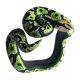 thumbnail image 2 of Pulsera de serpiente de plástico perfke hecha a mano verde, 2 of 9