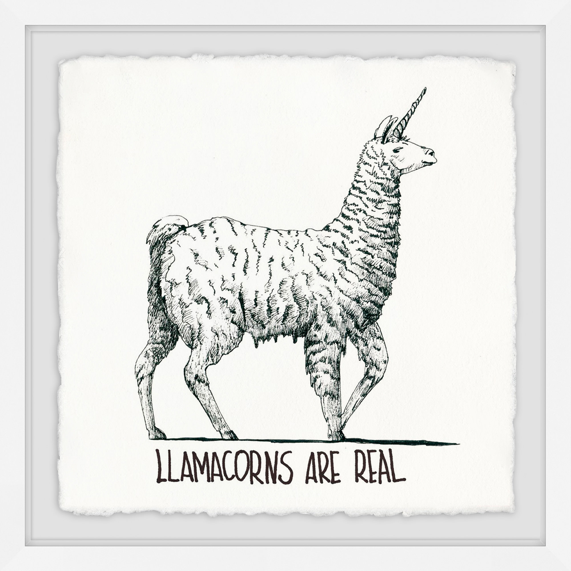 Llamacorns Are Real Framed Painting Print