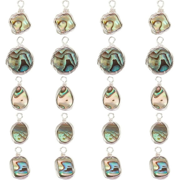 Natural Abalone Shell/Paua Shell Pendants with Eco-Friendly Copper Wire Wrapped Mixed Shapes Platinum 20pcs/box