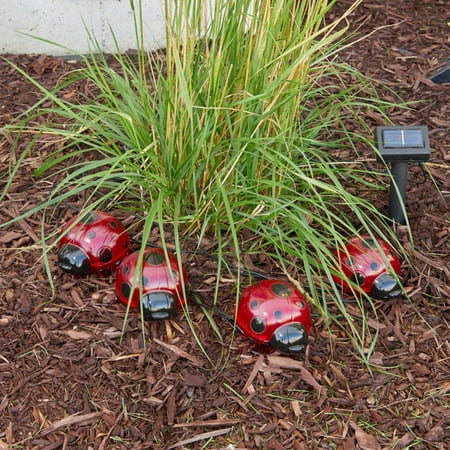 Solar Ladybugs - 4-Piece Set