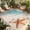 Brown Teal, variant on Indoor Outdoor Area Rugs,Beach Starfish Summer Ocean Washable Patio Rug Non-slip Quick Dry Camping Rugs,Blue Sea Water Waves Floor Carpet for Porch Deck Backyard RV Decor,4x6ft