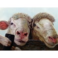 thumbnail image 2 of Heffernan, Lucia 32x25 White Modern Wood Framed Museum Art Print Titled - Selfie, 2 of 4