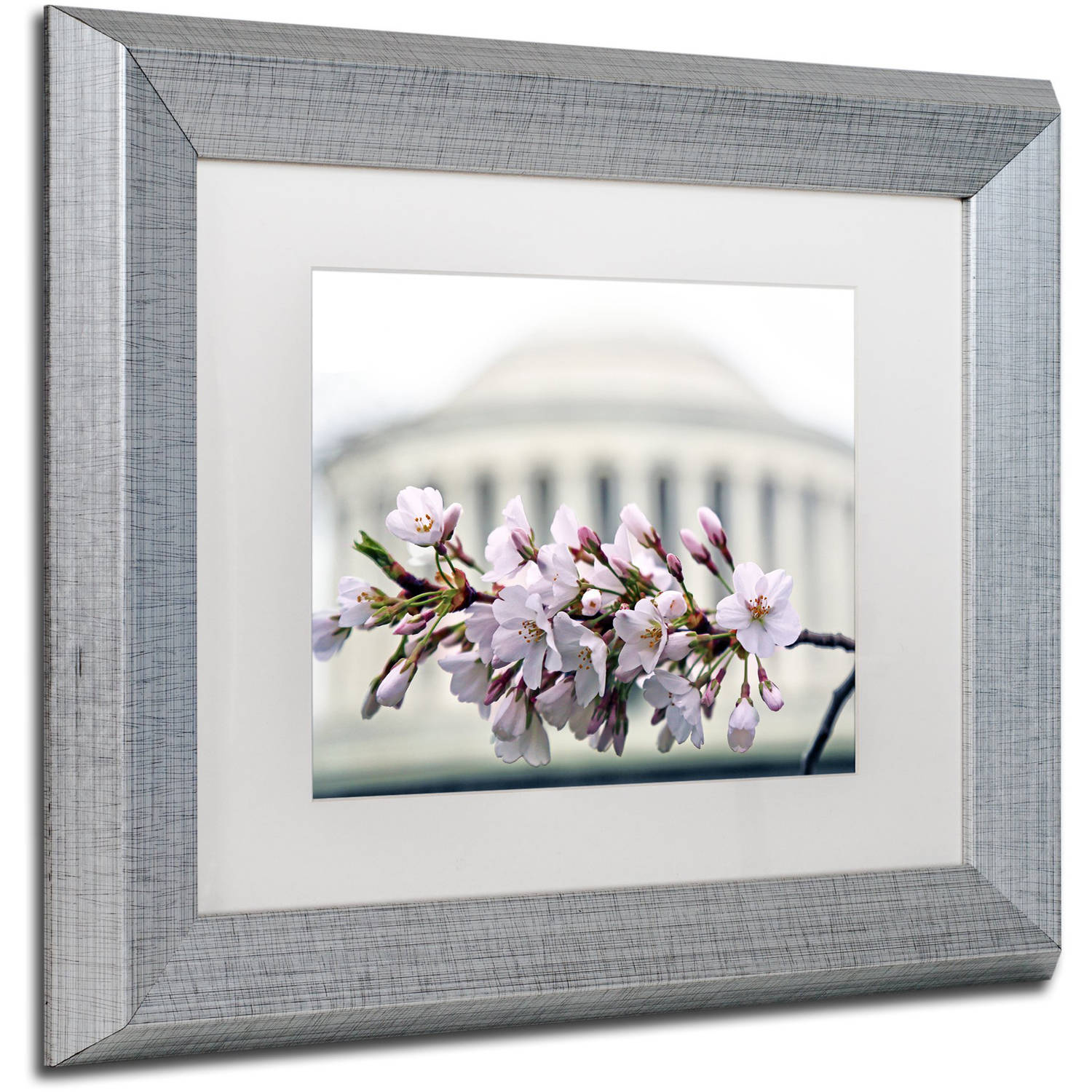 Trademark Fine Art "Jefferson Memorial Blossoms" Canvas Art by CATeyes, White Matte, Silver Frame