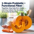 thumbnail image 4 of Glandex Rapid Digestive Support Chews for Dogs with Occasional Diarrhea, Chicken, 25ct., 4 of 9