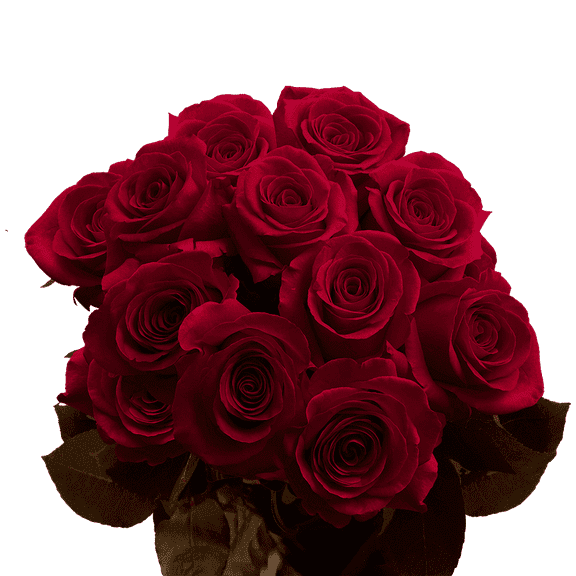 50 Stems of Burgundy Roses- Fresh Flower Delivery