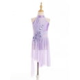 thumbnail image 2 of Hansber Ballet Leotard Dress for Girls Latin Jazz Dance Dresses Dancing Costume Tutu Skirt Light Purple 8, 2 of 7