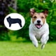 thumbnail image 4 of para perros mascota Chaqueta cálida suave Forro prueba Sunnimix Abrigos de perros, 4 of 8