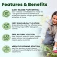 thumbnail image 2 of Environmental factors slow-release nematodes - biological control for the control of mushroom gnats, thrips, and whiteflies (280 grams, can treat up to 50 flower pots), 2 of 3