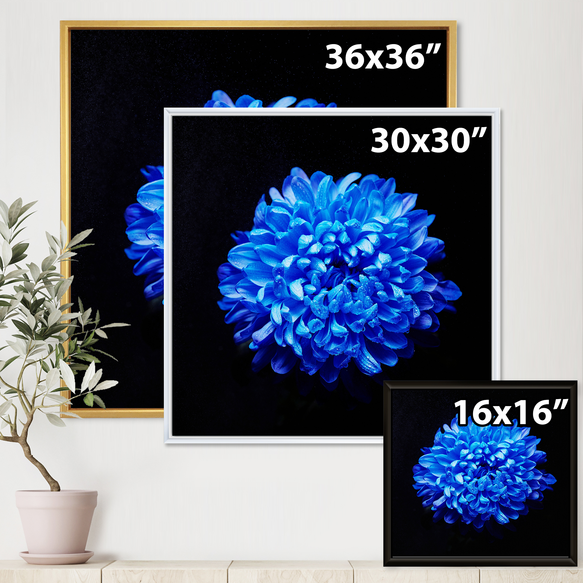 Designart 'Dew Drops on Blue Aster ' Traditional Framed Canvas Wall Art Print