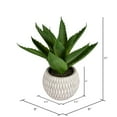 thumbnail image 2 of Vickerman 11" Artificial Green Succulent in Container., 2 of 2