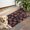Pioneer Flower Floral-3, variant on Pioneer Flower Floral Print Pattern Door Rugs,Washable Non Slip Door Mats Indoor,Decorative Door Mats,Entry Mat Indoor for Entrance,Bedroom,Kitchen,Bathroom,17"x30"