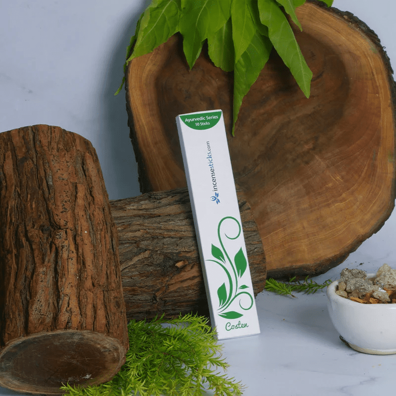 Costen Incense Sticks 8" - 10 Packs, 10 Sticks Each | Sweet & Woody Aromatic Blend