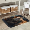 thumbnail image 7 of Honeii Dapper Cat in Sunglasses Pattern Door Mat, Welcome Door Mats Outdoor Indoor, Stain and Fade Resistant, Non-Slip Entry Matfor Bedroom, Bathroom, Kitchen, 7 of 7