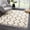 Charcoal, Beige / West End, variant on Hauteloom West End Living Room, Bedroom Area Rug - Bohemian/Global - Plush Pile - Charcoal, Beige - 3'11" x 5'7"