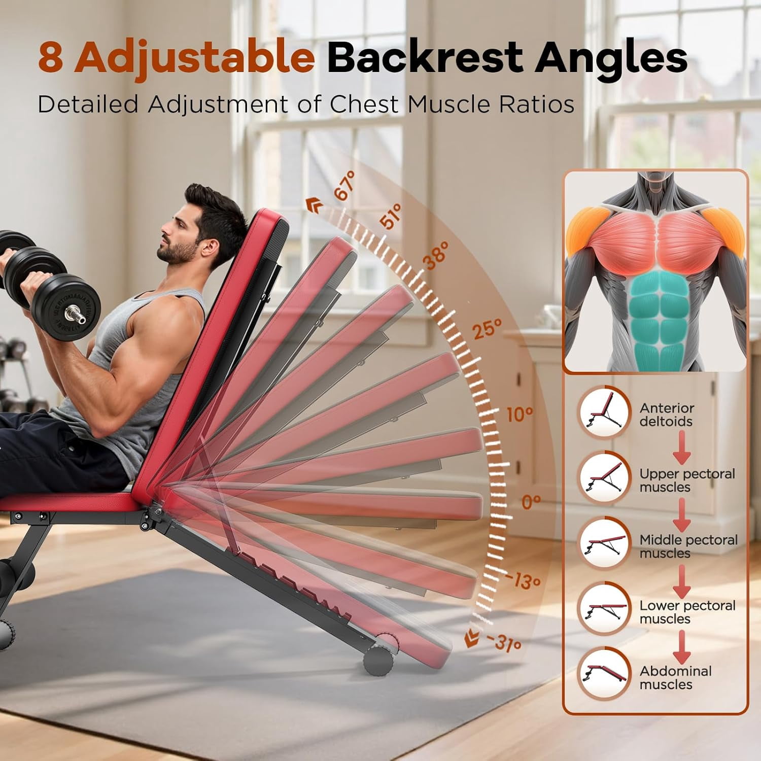 Adjustable Weight  for Home Gym, 660LBS Capacity Workout  with 8 Backrests for Chest Shoulders Arms, Compact and Foldable Strength  for Small Space Apartment Room