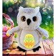 thumbnail image 5 of DolliBu Super Soft Big Eye Owl Bird with Yellow Easter Egg Plush - Perfect Wild Life Stuffed Animals for Easter Basket, Cute Easter Egg Stuffed Animal Spring Toys for Girls, Boy, Baby - 8.5 Inches, 5 of 7
