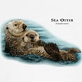 thumbnail image 3 of CafePress - Sea Otter Sweatshirt - Crew Neck Sweatshirt, 3 of 4