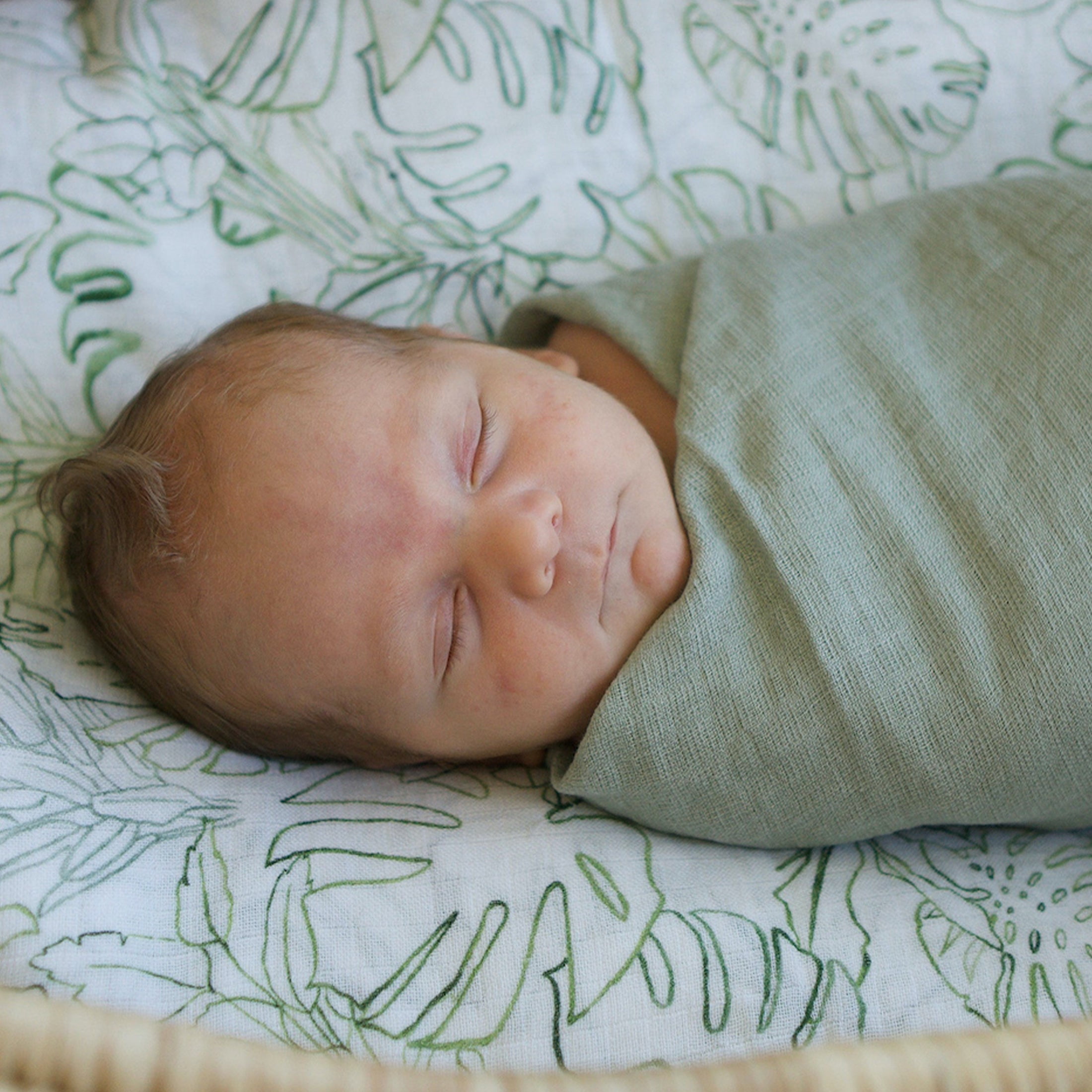 Red Rovr 100% Organic Cotton Muslin Infant Swaddle Blanket, Large, Unisex, Jungle Leaf
