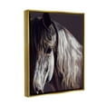 thumbnail image 3 of Stupell Industries Close Up Horse Face Portrait Animals & Insects Photography Gold Floater Framed Art Print Wall Art, 3 of 6