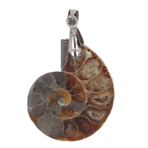 Handcrafted Natural Ammonite Fossil Pendant Necklace - Unique Flat Spiral Shell with Radiating Ridges, Timeless Vintage Jewelry Bringing Fortune & Joy, Ideal Gift for Ocean Lovers, Stone Collectors &