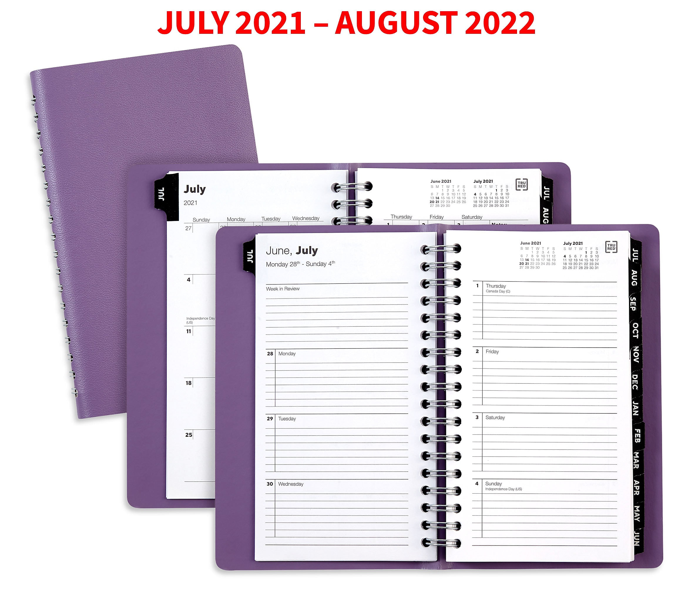 Dayrunner With Tabs Day-Timer 2021 Monthly Planner For 6-Ring Notebooks 