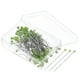 thumbnail image 1 of Alfileres de costura de alambre de acero Uxcell de 1.46 pulgadas con cabeza de bola perlada, alfileres rectos para tela decorativa verdes, 400 Pcs, 1 of 6