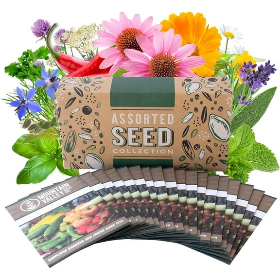 Medicinal & Herbal Tea Garden Seed Collection - Premium Assortment - 18 Non-GMO Herb Seed Packets: Angelica, Borage, Hot Pepper, Anise, Lavender, Peppermint, & More Medicinal & Herbal Tea Premium