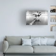 thumbnail image 2 of 16x24 Canvas, 2 of 4