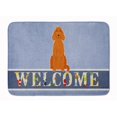 thumbnail image 1 of Carolines Treasures BB5645RUG Irish Setter Tapis de Mousse à Mémoire Lavable en Machine, 1 of 4