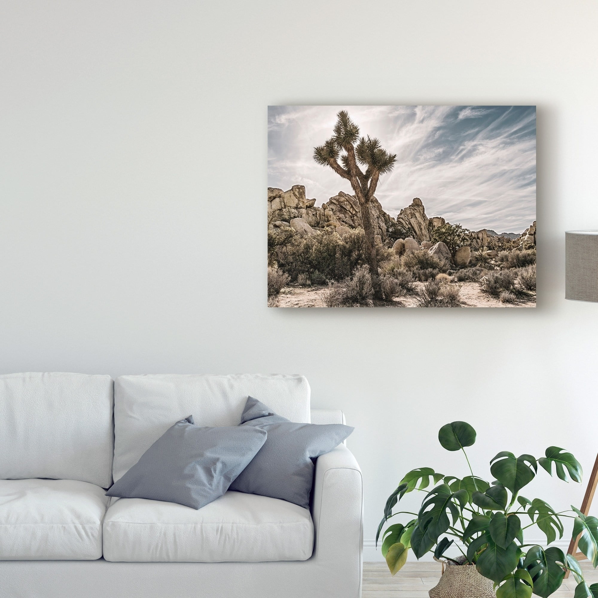 Trademark Fine Art 'Views of Joshua Tree VIII' Canvas Art by Rachel Perry