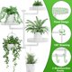 thumbnail image 2 of Estantes giratorios para plantas de ventana, soporte de pared para plantas de interior de 3 niveles, estante de metal floral con ganchos colgantes, 2 of 6