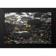 thumbnail image 2 of Crane, Rita 14x11 Black Modern Framed Museum Art Print Titled - Rocky Shore IV, 2 of 5