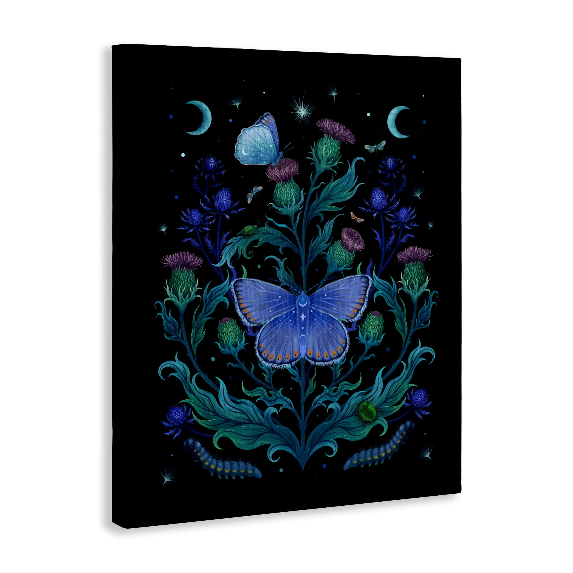 Stupell Industries Thistles & Insects at Night Canvas Wall Art, design by Episodic Drawings