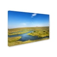 thumbnail image 2 of Trademark Fine Art 'Blue Liquid' Canvas Art by Philippe Sainte-Laudy, 2 of 3