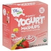 Plum Kids Organic Strawberry Lemonade Greek Yogurt Mashups Smoothie, 3.17 oz, 4 count, (Pack of 6)
