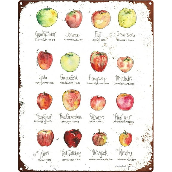 Vintage Tin Signs for Men Apple Chart Watercolor Art Print Cheerful Decor for Home Kitchen Honeycrisp McIntosh Gravenstein Gala Granny Smith Apples Wall Art Tin Signs Funny 8x12 inch